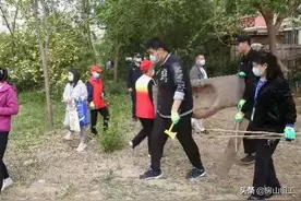 长阳镇：以整改实效提升居民生活品质！图片