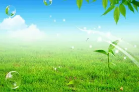 海韵教育丨课改故事——叶落无声，成长有痕图片