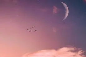治愈自己的句子：神明的公主在人间受尽了苦，神明不会放过他们的图片