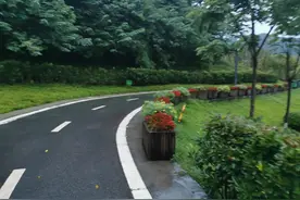 找精神竿竿图片