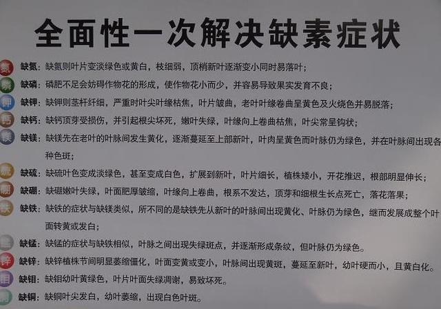 什么是微量元素？铁肥有哪些类型？