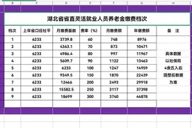 灵活就业人员分档缴费及缴费金额计算介绍图片
