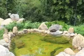 惠州古典温泉~博罗镇响水~超值住怡情谷主楼/木屋房~还包三餐！图片