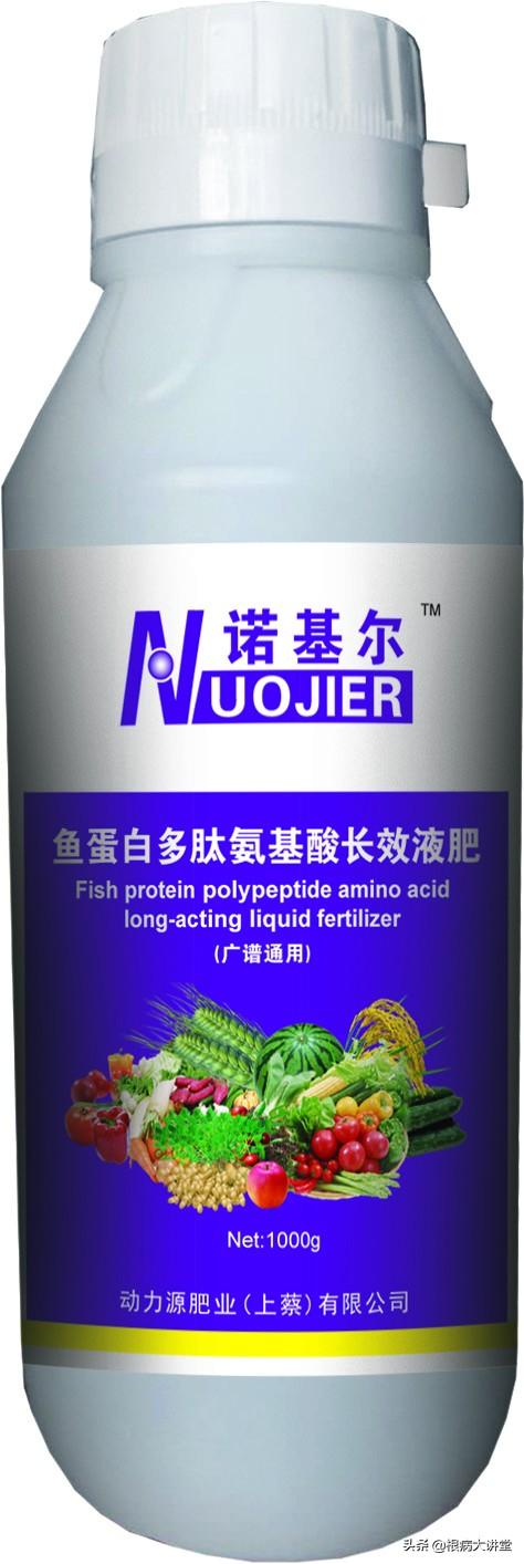 诺基尔：不起眼的氨基酸，原来你这样的了不起