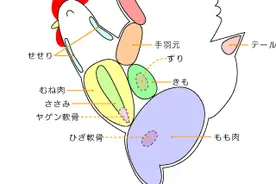 日本烤串（烧鸟）烤什么（上）图片