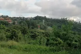 银行信贷本金打折？欠款人上岸的好日子到了吗？图片