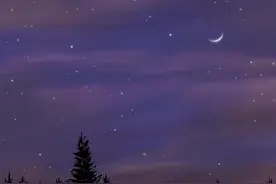 她说她没醉，却摇摇晃晃掉眼泪，你说你爱她，却没有给她一个家图片