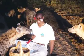 连狮群都不怕的非洲鬣狗，为什么从不攻击人类？原来它们这么聪明视频封面