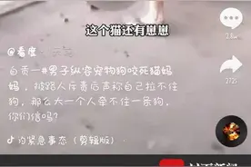 ＂放任＂柴犬咬死猫咪引网友声讨，四川一交警中队长被停职图片
