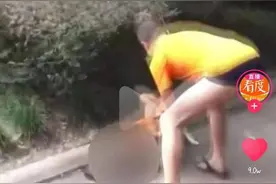 ＂放任＂柴犬咬死猫咪引网友声讨，四川一交警中队长被停职图片
