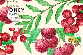 Vietnam Honey 插画风蜂蜜礼盒包装设计赏析图片