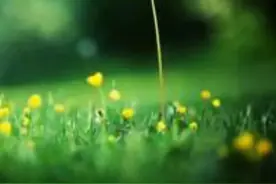 颜值即正义图片