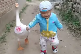 形影不离！大鹅给一岁萌娃当保镖图片