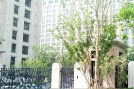 佟丽娅4800万的豪宅图片