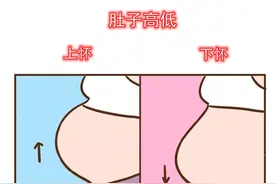 孕肚“上怀、下怀”暗示胎儿性别？谣言不可信，真正的区别是这些图片