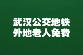 65岁以上外地老年人在武汉乘地铁公交车琐记图片