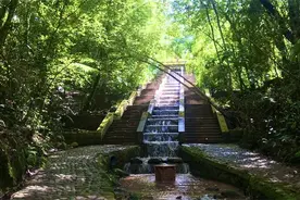 「散文」柳忠勤：万掌滴翠图片