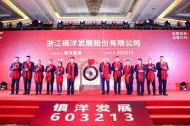 镇洋发展上交所上市：市值38亿 上半年营收8亿图片