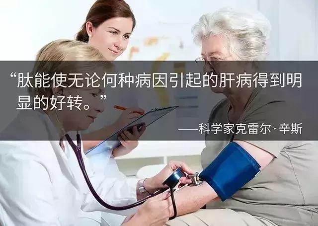 小分子肽对肝脏有调理作用吗 2024年最新小分子肽对肝脏有调理作用吗