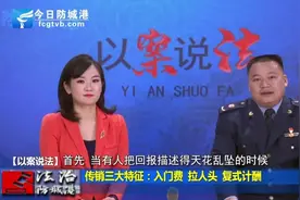 《以案说法》 以“资本运作”名义传销  23名“老总”获刑图片