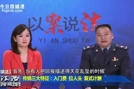 《以案说法》 以“资本运作”名义传销  23名“老总”获刑图片