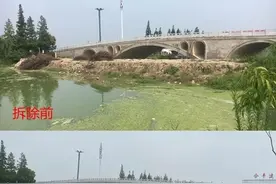 江苏盐城千亩水域变死水续：拦水坝连夜拆除图片