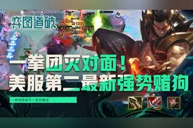 一拳团灭对面！云顶之弈美服第二最新优化强势赌狗图片