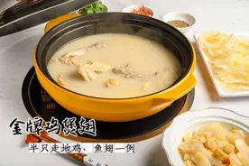 新DNA「做翅专门店」，壕叹4两花胶+鱼翅，一口就粘唇图片