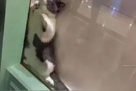 你不要过来啊图片