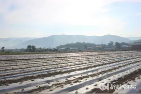 办实事 开新局 | 湾甸乡：抢抓农时开展冬早蔬菜种植图片