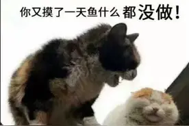 「表情包」你又摸了一天鱼 什么都没做图片