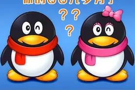 你的QQ几岁了？如何查询QQ年龄，官方渠道来了图片