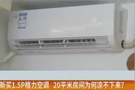 2349元新买的空调，开一天也凉不下来？格力坚称：空调没问题图片