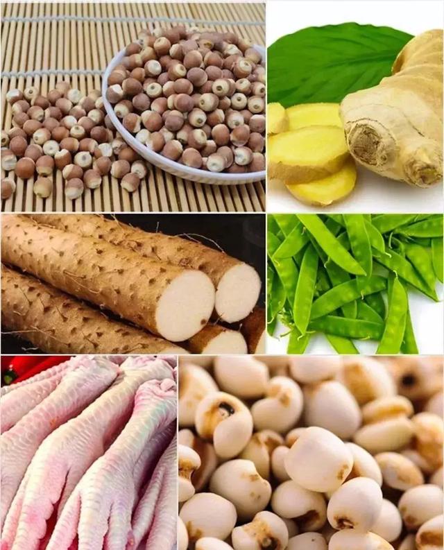 椰子炖花胶乌鸡小孩能吃吗 2025年椰子花胶煲鸡汤