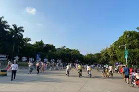 广州两男子去大夫山采蘑菇，竟然采到灵芝！结果令人吃惊图片