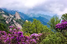 5·19中国旅游日 | 平顶山市景区惠民政策来咯~图片