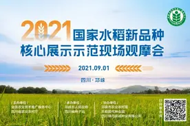 43个品种获推！2021国家水稻新品种核心展示示范现场观摩会在邛崃举行图片