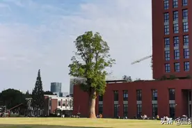 想要考上海财经大学有多难？上海财大最高学费30万？答案在这里图片