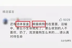 “活体”宠物被塞进盲盒，成了月入20万+的嗜血生意图片