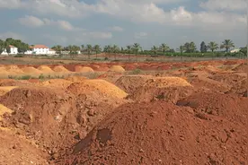 横县征收集体土地补偿安置办法图片