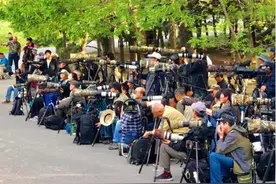 摄影界的“王者”，中国单反大爷图鉴图片