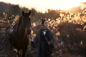 射雕三部曲：从宋亡到明兴的江湖图片