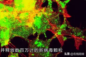 BBC纪录片揭露病毒前世今生：十年前敲响警钟，依旧没有唤醒人类图片