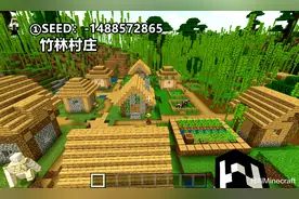 这是什么罕见村庄？我的世界：1月精选，基岩版最佳的5个种子图片