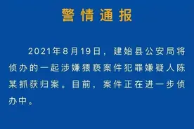 湖北一中学老师被曝猥亵多名女学生，建始警方：已抓获嫌犯图片
