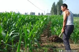 乡村纪事：送上门的丈夫，最终断送了她和儿子的性命图片