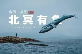 庄子笔下的3条“鱼”，像极了人生的三重境界：自由、自知和自洽图片