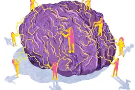 据说，「泪点低」可能是因为大脑太发达......图片