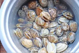 洗花蛤，尽量不要焯水，教您几个好方法，吐沙干净，不影响口感图片