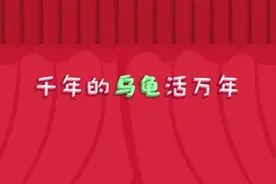 六一儿童节特别礼物 |《千年的乌龟活万年》儿歌来袭！图片